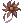 Withered Flower