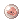 Embryo
