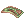 Poisonous Toad Skin