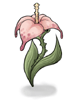 Wild Flower