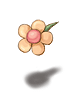 Romantic Flower