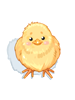 Chick Hat