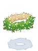 Flower Crown