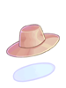 Hat of Water Expert