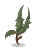 Bitter Herb