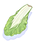 Bok Choy