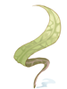 Herb